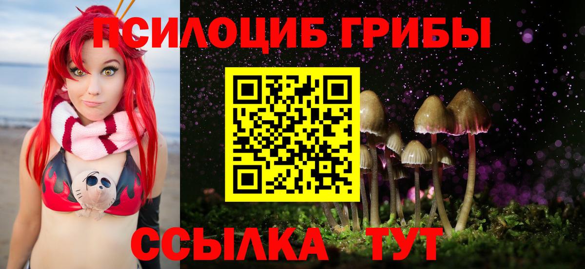 Псилоцибиновые грибы мицелий Вышний Волочёк