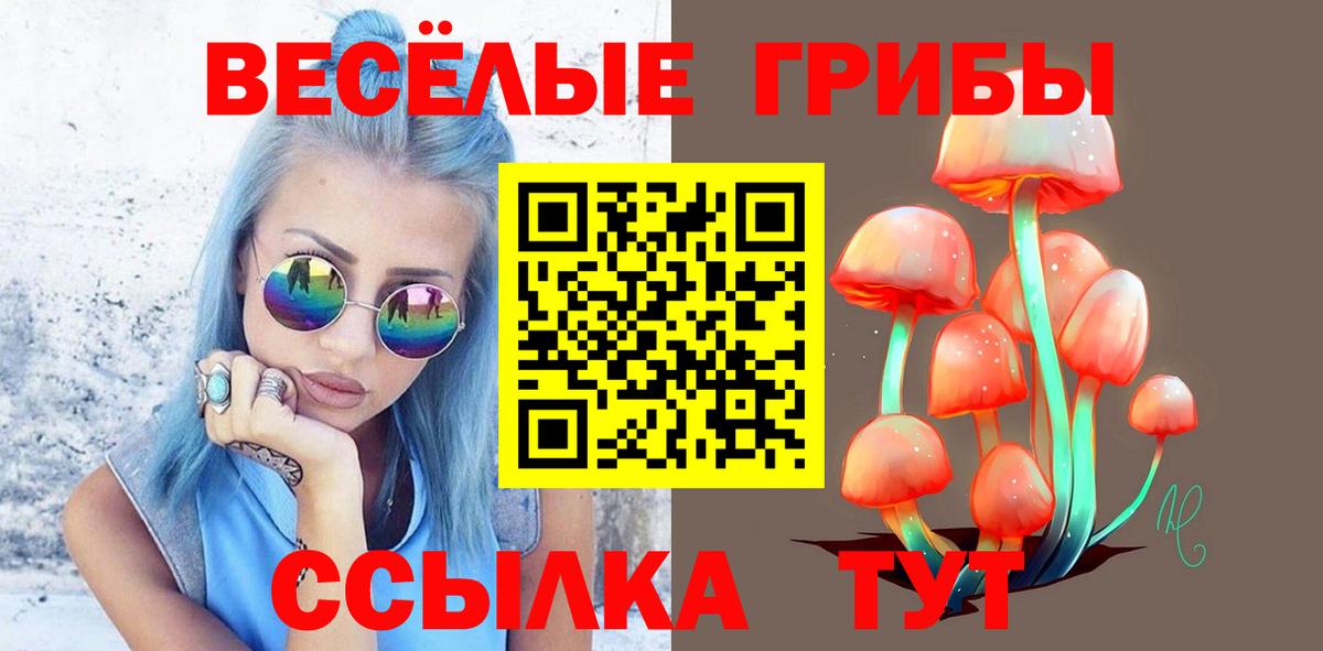 Галлюциногенные грибы Psilocybe  Вход с VPN  Вышний Волочёк  Галлюциногенные грибы мицелий 